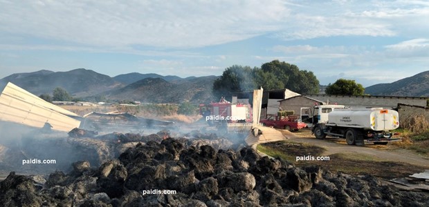 Φωτιά έκαψε ποιμνιοστάσιο με δεκάδες ζώα στα Δελέρια
